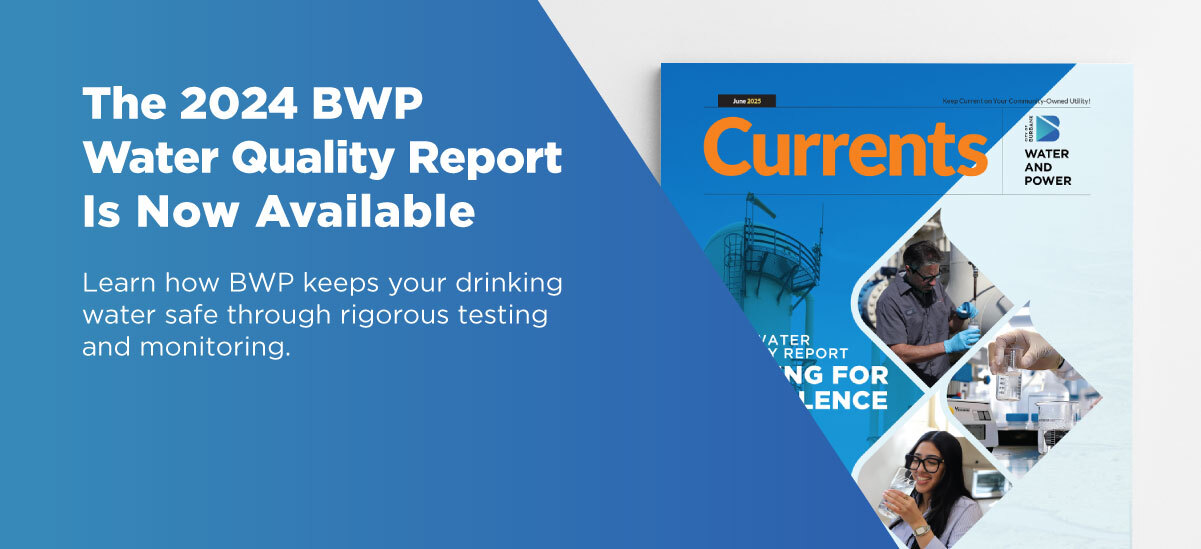 The 2024 BWP Water Quality Report is now available.